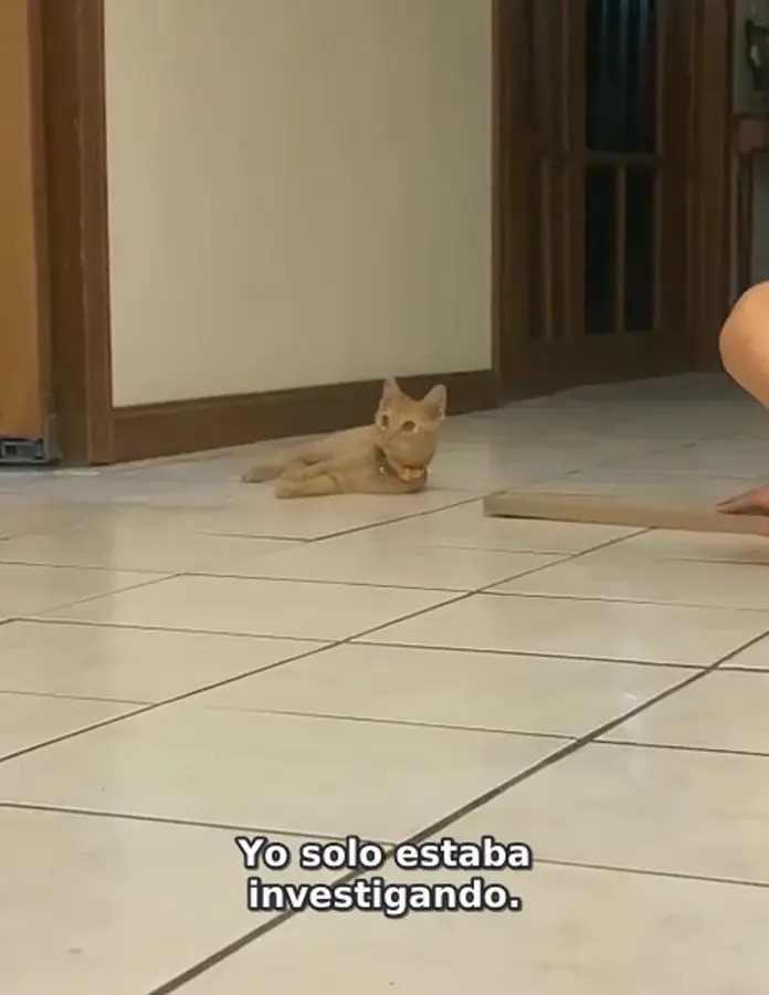Image extraite d’une vidéo de Jacobo en train de jouer à la maison